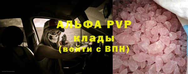 индика Армянск