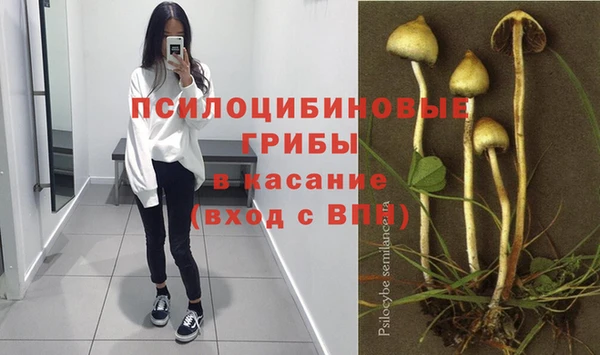кокс Аркадак